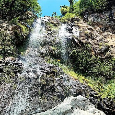 Cabana Para Pareja En El Bosque Ib Acaxochitlán Eksteriør bilde