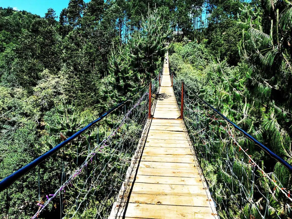 Cabana Para Pareja En El Bosque Ib Acaxochitlán Eksteriør bilde