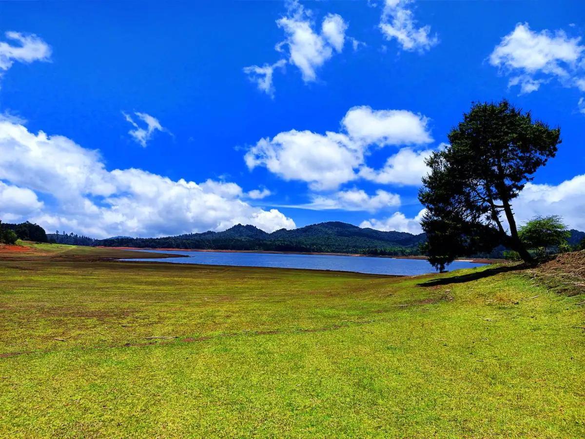 Cabana Para Pareja En El Bosque Ib Acaxochitlán Eksteriør bilde